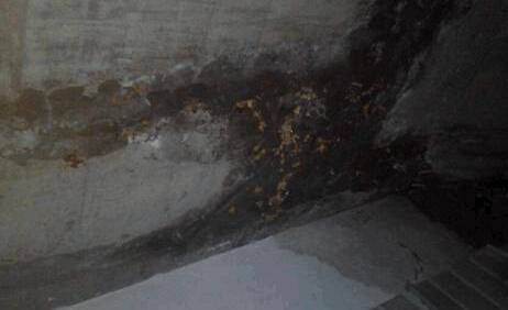墙面渗水有什么办法修复?屋顶防水施工的时候这些要留意