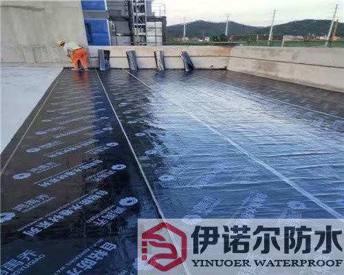 上海苏州屋面防水